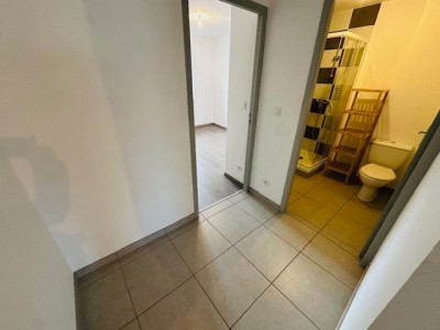 APPARTEMENT T3 A LOUER - ST ETIENNE BAS FAURIEL/PLACE ST ROCH - 46.24 m2 - 470 € charges comprises par mois