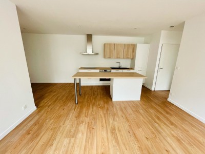 APPARTEMENT T3 A LOUER - ST ETIENNE CENTRE - 58.98 m2 - 625€ charges comprises par mois