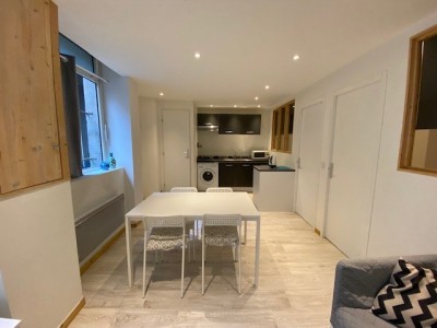 APPARTEMENT T3 - ST ETIENNE CENTRE VILLE - 46.16 m2 - LOUÉ