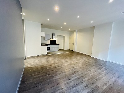 APPARTEMENT T3 - ST ETIENNE CENTRE VILLE - 77.25 m2 - LOUÉ