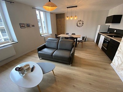 T3 MEUBLE A LOUER - ST ETIENNE CHATEAUCREUX/FOURNEYRON/RICHELANDIERE - 56.73 m2 - 705 &euro; charges comprises par mois