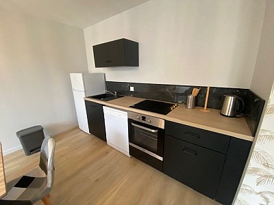 T3 MEUBLE A LOUER - ST ETIENNE CHATEAUCREUX/FOURNEYRON/RICHELANDIERE - 56.73 m2 - 705 &euro; charges comprises par mois