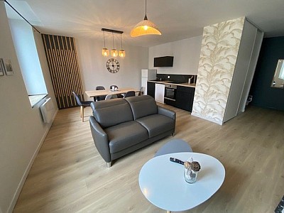 T3 MEUBLE A LOUER - ST ETIENNE CHATEAUCREUX/FOURNEYRON/RICHELANDIERE - 56.73 m2 - 705 &euro; charges comprises par mois