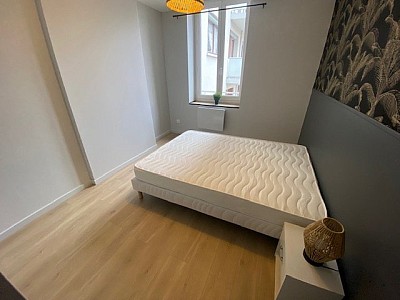 T3 MEUBLE A LOUER - ST ETIENNE CHATEAUCREUX/FOURNEYRON/RICHELANDIERE - 56.73 m2 - 705 &euro; charges comprises par mois