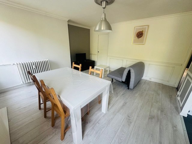 APPARTEMENT T3 - ST ETIENNE COURS FAURIEL - 54.04 m2 - LOU&Eacute;