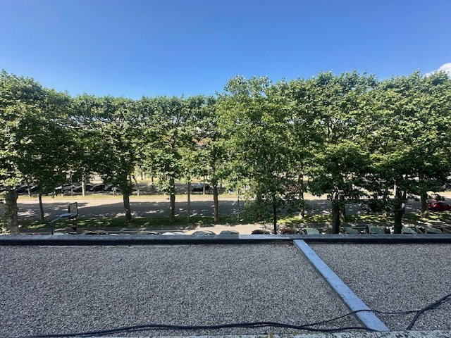 APPARTEMENT T3 - ST ETIENNE COURS FAURIEL - 54.04 m2 - LOU&Eacute;