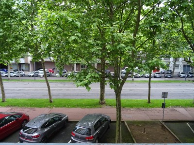 APPARTEMENT T3 A LOUER - ST ETIENNE Fauriel/Rond Point - 52.15 m2 - 560€ charges comprises par mois