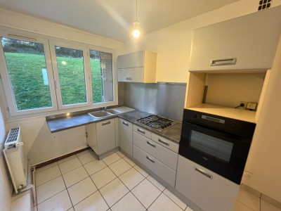 APPARTEMENT T3 - ST ETIENNE MONTPLAISIR - 56.46 m2 - LOUÉ