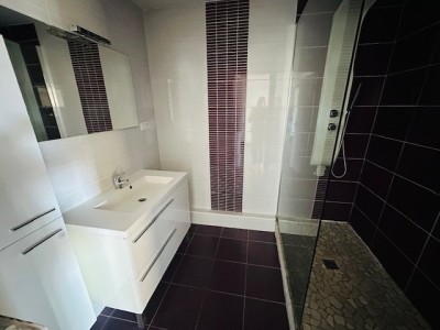 APPARTEMENT T3 A LOUER - ST ETIENNE PLAINE ACHILLE/CHATEAUCREUX - 63.74 m2 - 700 € charges comprises par mois