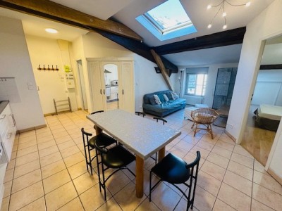 APPARTEMENT T3 A LOUER - ST ETIENNE QUARTIER TREFILERIE - 47.31 m2 - 549€ charges comprises par mois