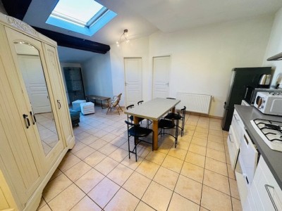 APPARTEMENT T3 A LOUER - ST ETIENNE QUARTIER TREFILERIE - 47.31 m2 - 549€ charges comprises par mois