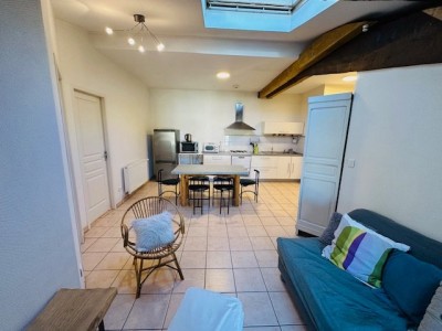 APPARTEMENT T3 A LOUER - ST ETIENNE QUARTIER TREFILERIE - 47.31 m2 - 549€ charges comprises par mois