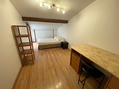 APPARTEMENT T3 A LOUER - ST ETIENNE QUARTIER TREFILERIE - 47.31 m2 - 549€ charges comprises par mois