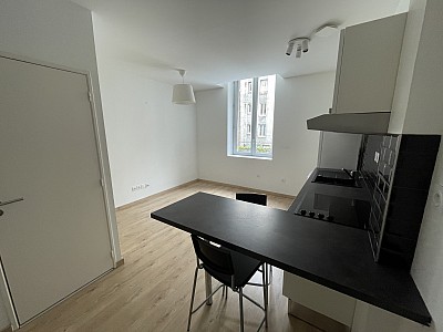 3 Pièces A LOUER - ST ETIENNE TREFILERIE - 46.15 m2 - 570 € charges comprises par mois