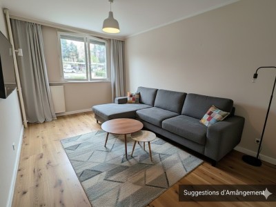 APPARTEMENT T3 A VENDRE - ST ETIENNE LA METARE - 46.11 m2 - 40000€