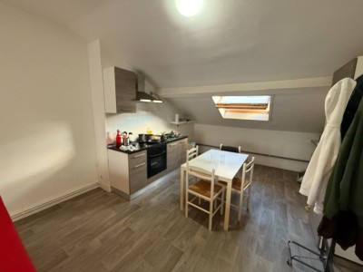 APPARTEMENT T3 A LOUER - ST ETIENNE CENTRE/TREFILERIE - 66.18 m2 - 600 &euro; charges comprises par mois