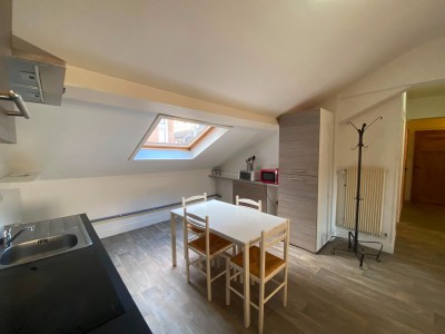 APPARTEMENT T3 A LOUER - ST ETIENNE CENTRE/TREFILERIE - 67 m2 - 600 &euro; charges comprises par mois