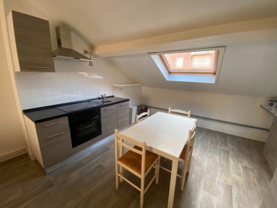 APPARTEMENT T3 A LOUER - ST ETIENNE CENTRE/TREFILERIE - 67 m2 - 600 &euro; charges comprises par mois