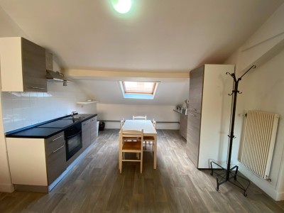 APPARTEMENT T3 A LOUER - ST ETIENNE CENTRE/TREFILERIE - 67 m2 - 600 &euro; charges comprises par mois
