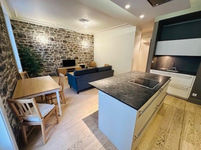 4 Pi�ces Meubl� avec Terrasse A LOUER - ST ETIENNE FAURIEL/ST ROCH - 90.5 m2 - 830�&euro; charges comprises par mois