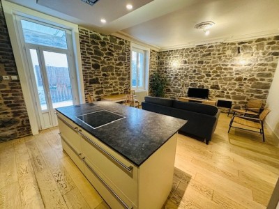 4 Pi�ces Meubl� avec Terrasse A LOUER - ST ETIENNE FAURIEL/ST ROCH - 90.5 m2 - 830�&euro; charges comprises par mois