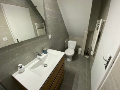Duplex A LOUER - ST ETIENNE Place Peuple/Grenette - 42.49 m2 - 604 € charges comprises par mois