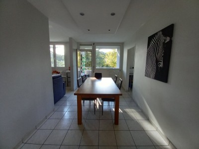 APPARTEMENT T4 AVEC TERRASSE A VENDRE - RIVE DE GIER - 79.31 m2 - 120 000 €