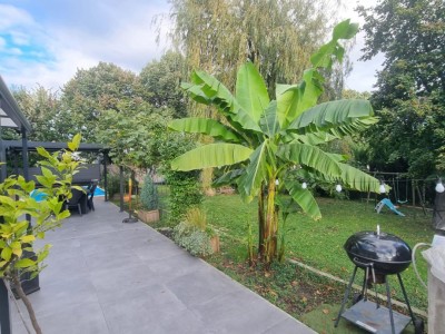 Magnifique appartement F6 de 160m,Piscine,Terrain 300m