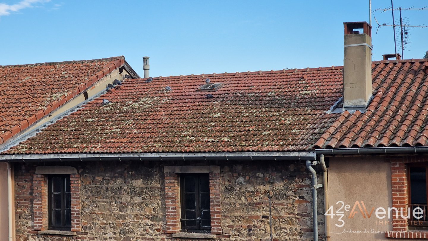 IMMEUBLE A VENDRE - ST GALMIER - 150 m2 - 160�000�&euro;