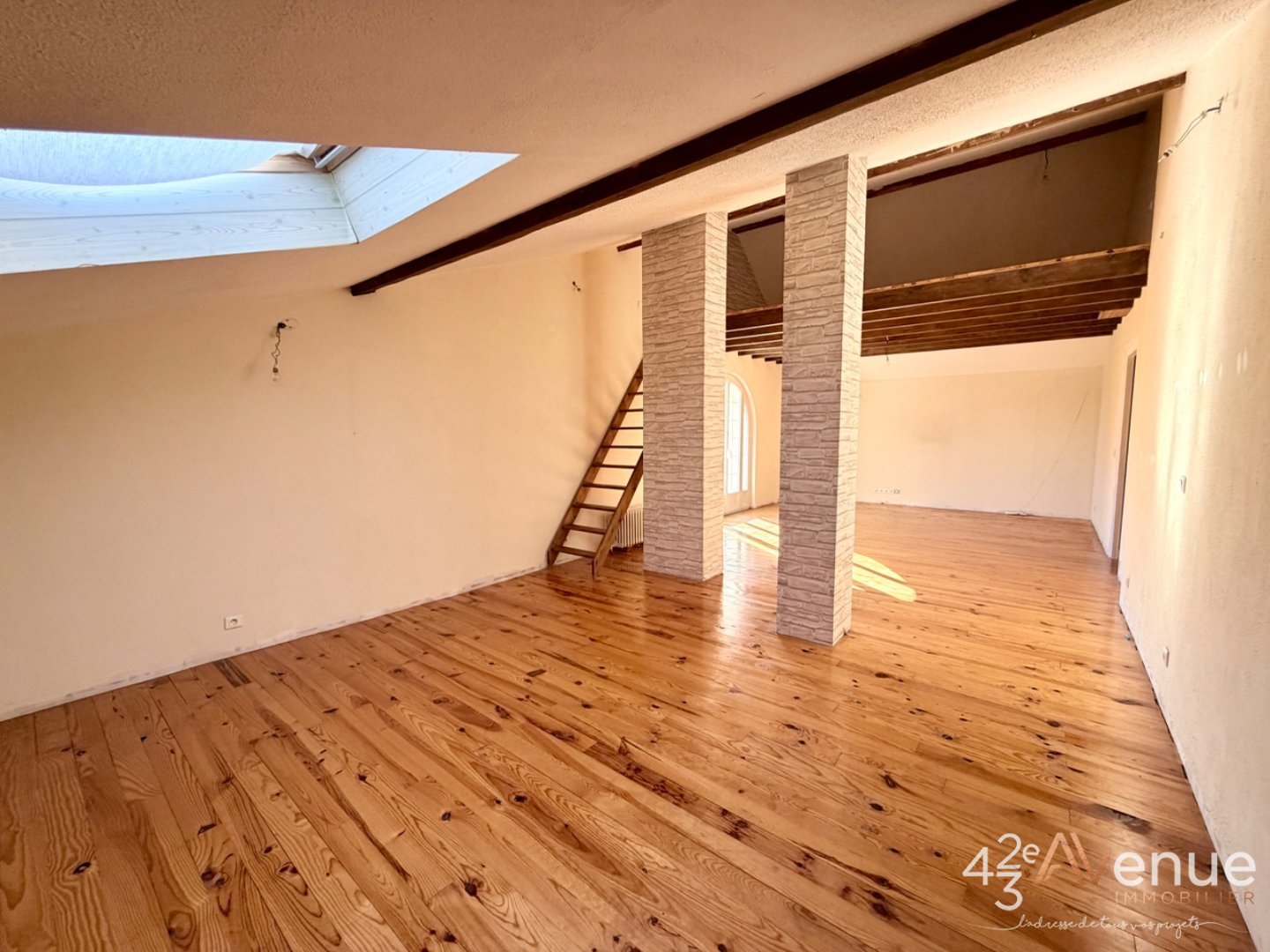 Sury Le Comtal Maison 265 m2sur 1200 m2 de terrain A VENDRE - SURY LE COMTAL - 265 m2 - 430�000�&euro;