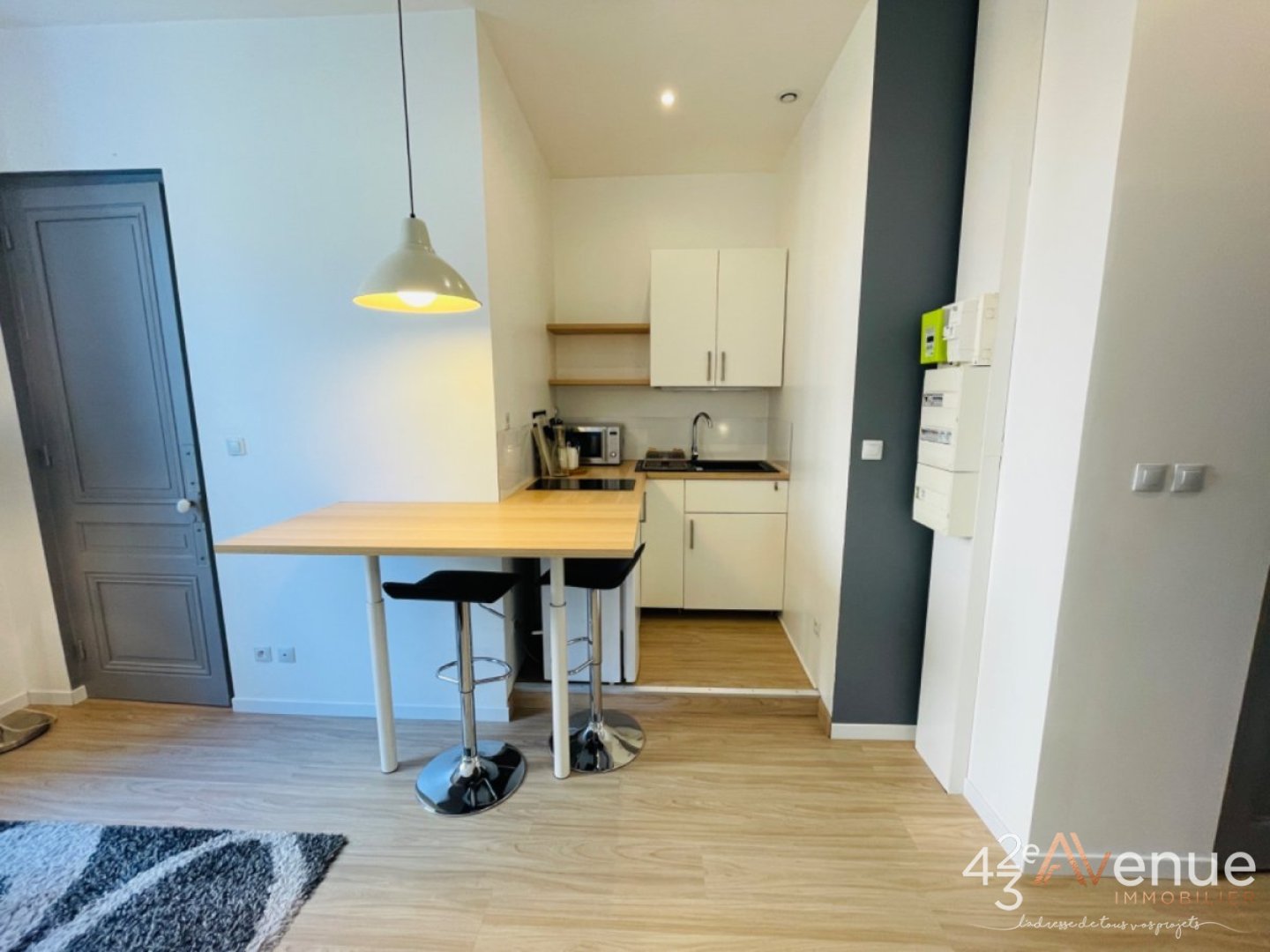 STUDIO - ST ETIENNE BELLEVUE - 18.51 m2 - LOU&Eacute;