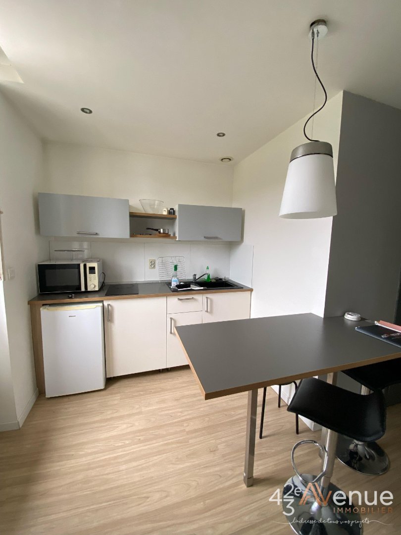 STUDIO - ST ETIENNE BELLEVUE - 29.51 m2 - LOU&Eacute;