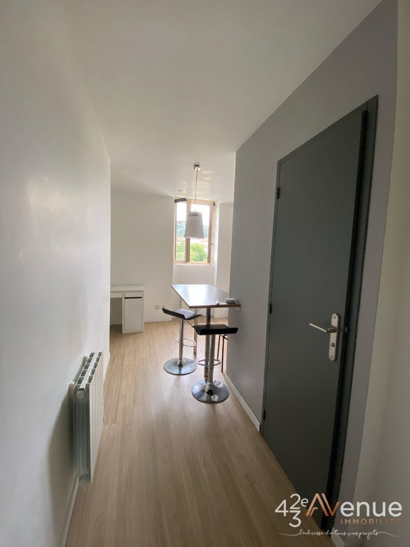 STUDIO - ST ETIENNE BELLEVUE - 29.51 m2 - LOU&Eacute;