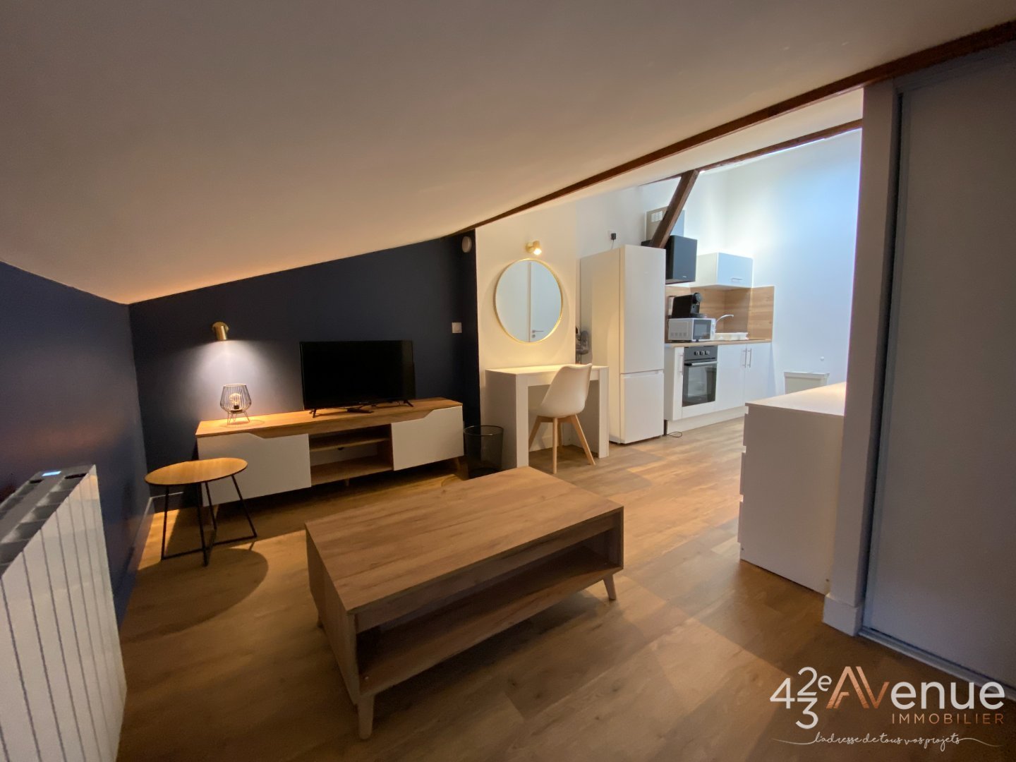 STUDIO - ST ETIENNE TREFILERIE - 21.5 m2 - LOU&Eacute;