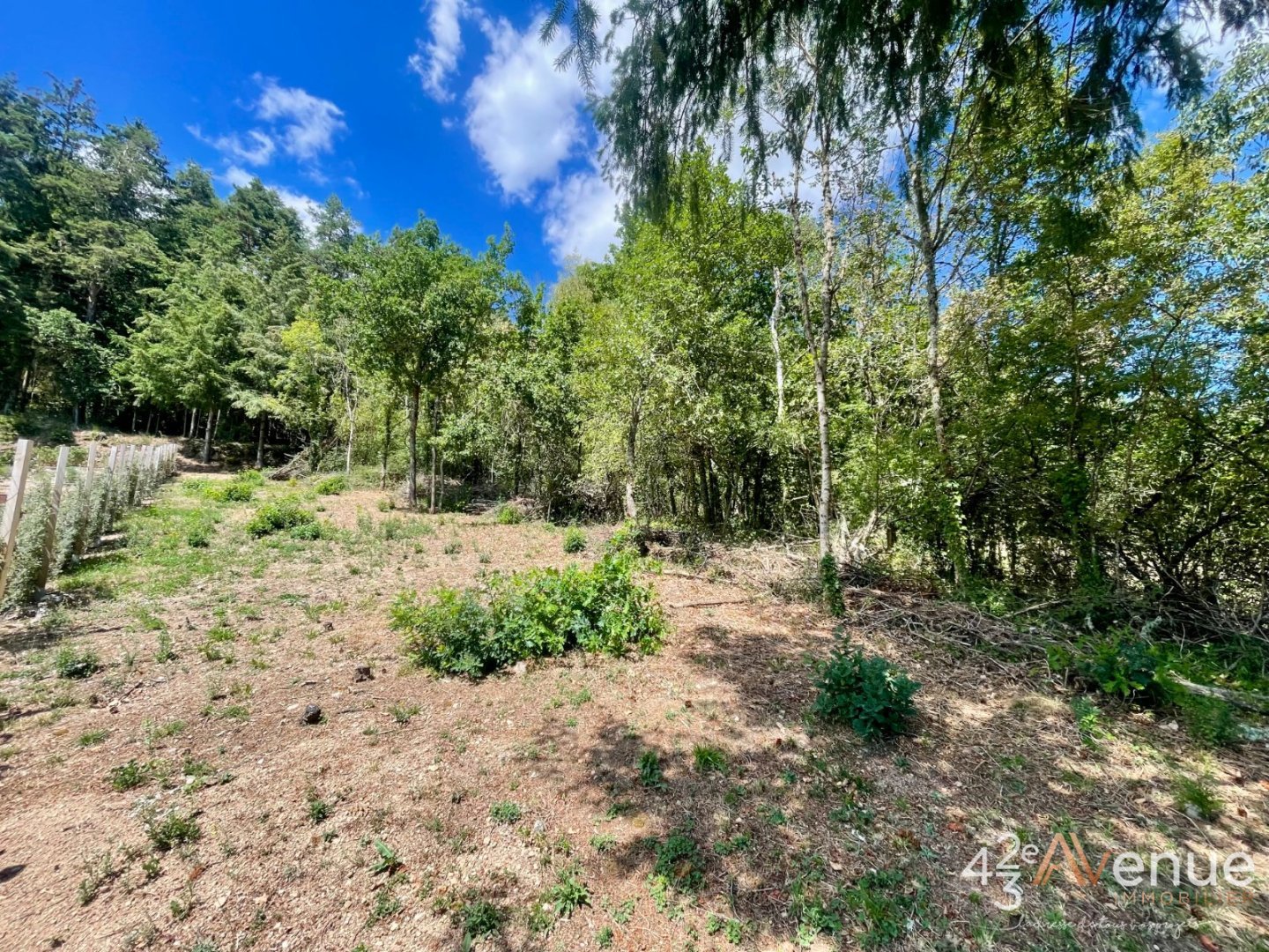 TERRAIN A VENDRE - BAS EN BASSET - 1212 m2 - 65 500 &euro;