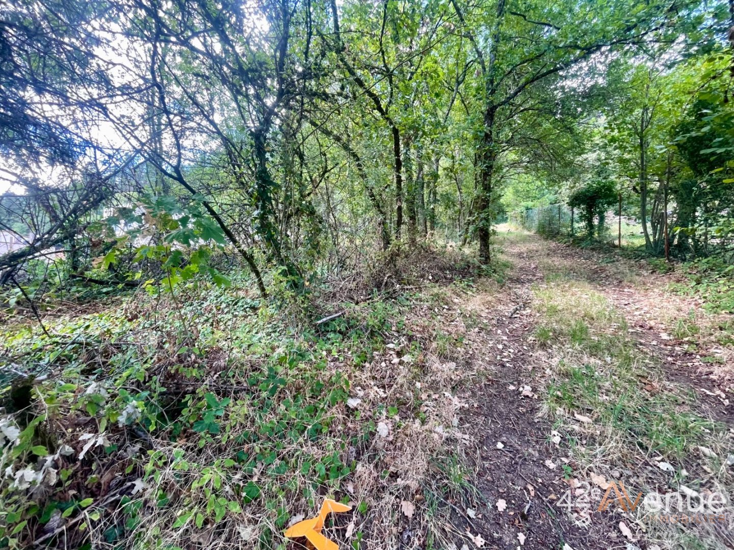 TERRAIN A VENDRE - BAS EN BASSET - 1212 m2 - 65 500 &euro;