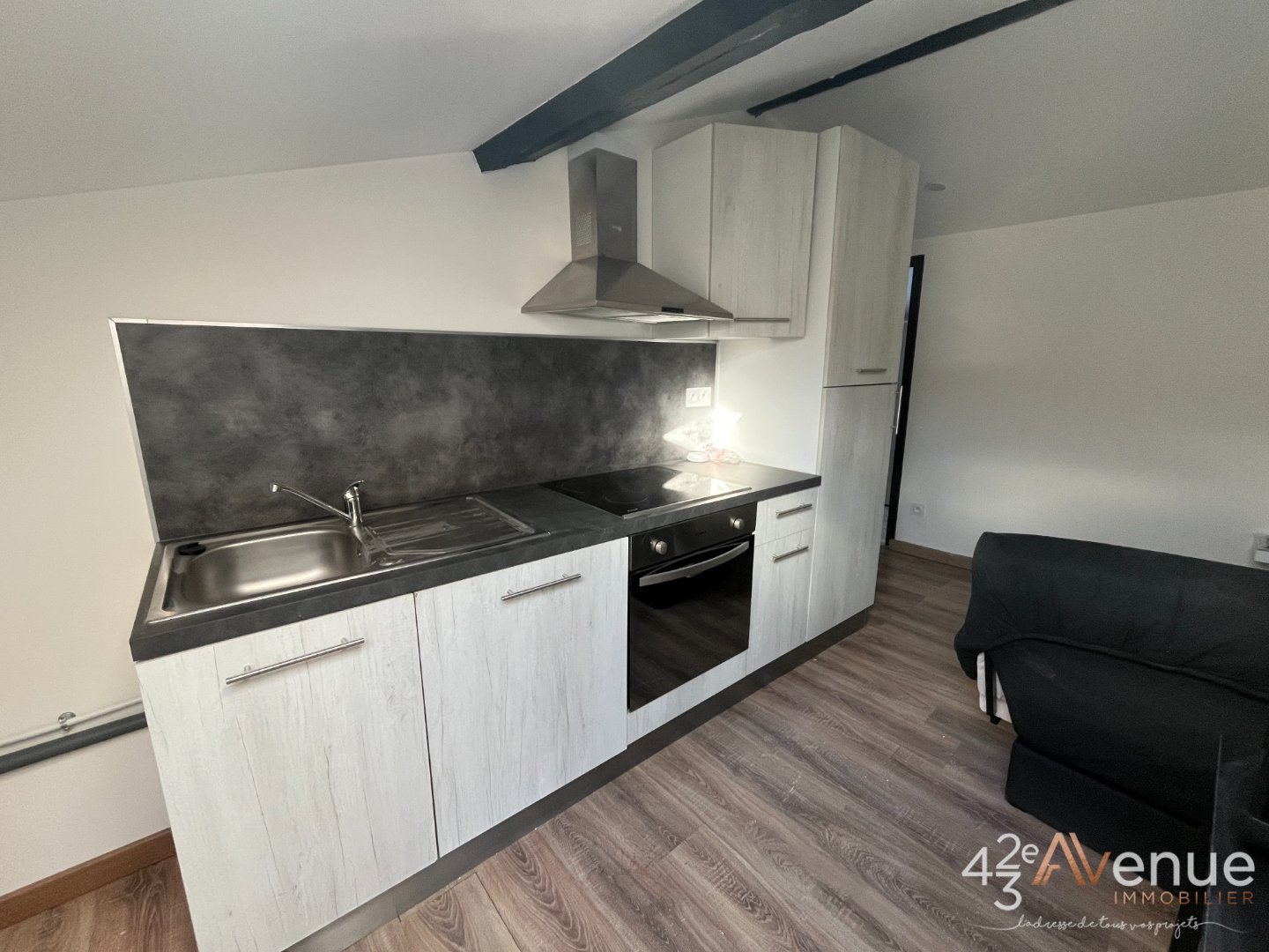 APPARTEMENT T2 - ST ETIENNE FACULTE   CENTRE DEUX - 24.09 m2 - LOU&Eacute;