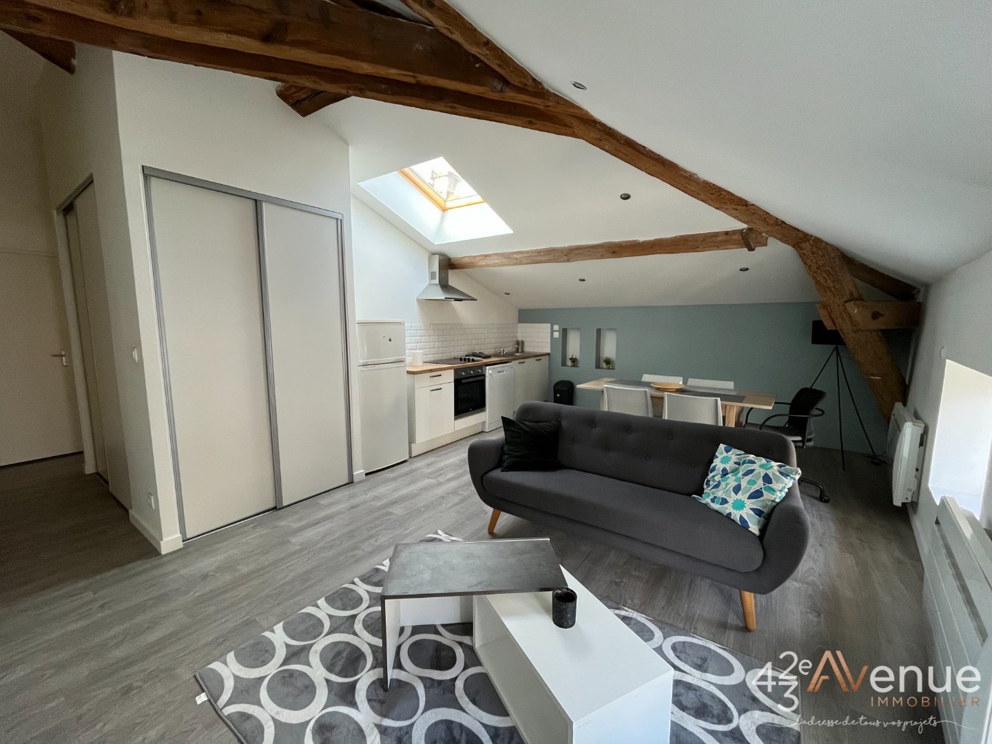 APPARTEMENT T2 - ST ETIENNE CENTRE VILLE - 52 m2 - LOU&Eacute;