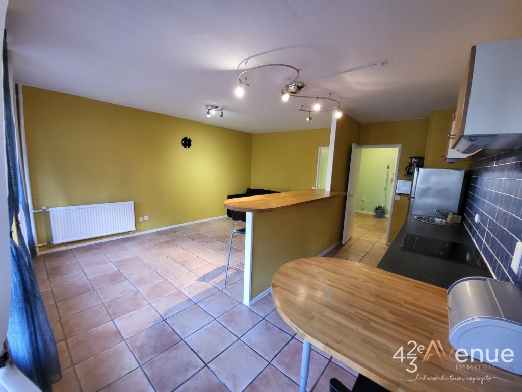 APPARTEMENT T2 - ST ETIENNE FACULTE   CENTRE DEUX - 52.28 m2 - LOU&Eacute;