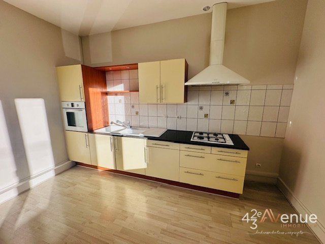 APPARTEMENT T2 A LOUER - ST ETIENNE Fauriel/Villeboeuf le haut - 52.24 m2 - 500 € charges comprises par mois