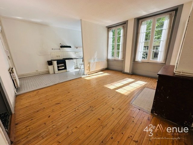 Grand 2 pièces A LOUER - ST ETIENNE JEAN JAURES - 55.96 m2 - 480 &euro; charges comprises par mois
