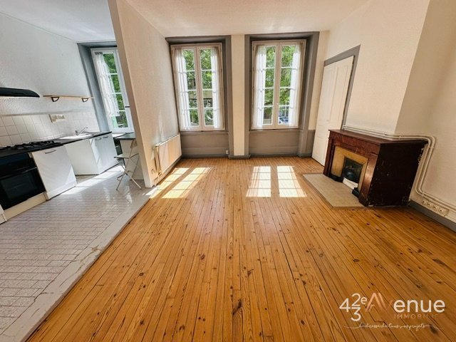 Grand 2 pièces A LOUER - ST ETIENNE JEAN JAURES - 55.96 m2 - 480 &euro; charges comprises par mois