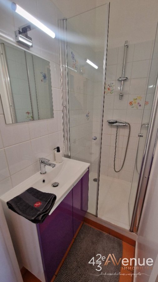 Appartement Airbnb - ST ETIENNE CENTRE VILLE - 26 m2 - 65000€