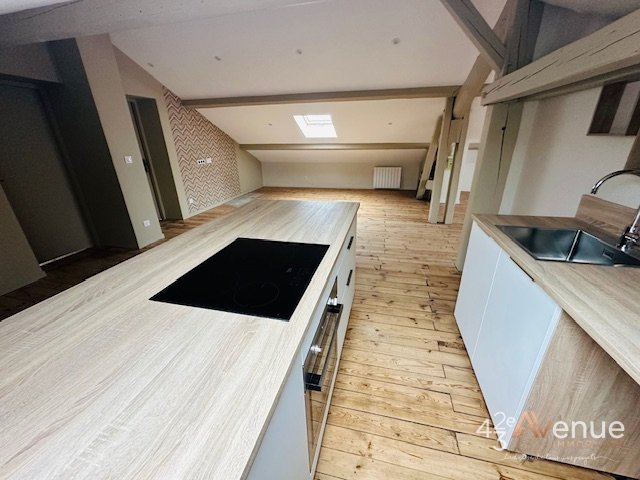 APPARTEMENT T3 - CENTRE DE ROCHE LA MOLIERE - 104.4 m2 - LOUÉ