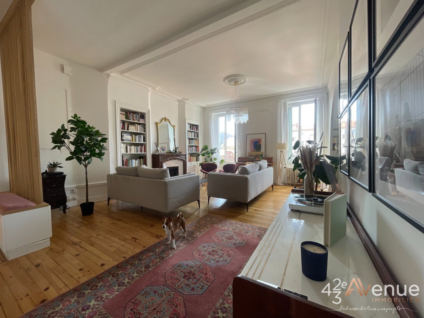Appartement Haussmannien parfait état Hyper Centre A VENDRE - ST ETIENNE CENTRE VILLE - 131.59 m2 - 190 000 &euro;